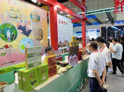 桂品出鄉,逐鹿中原