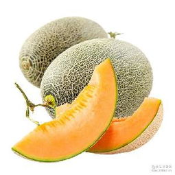 哈密瓜蓉產(chǎn)品綜合指南 價(jià)格、型號、圖片及預(yù)包裝食品批發(fā)與零售服務(wù)